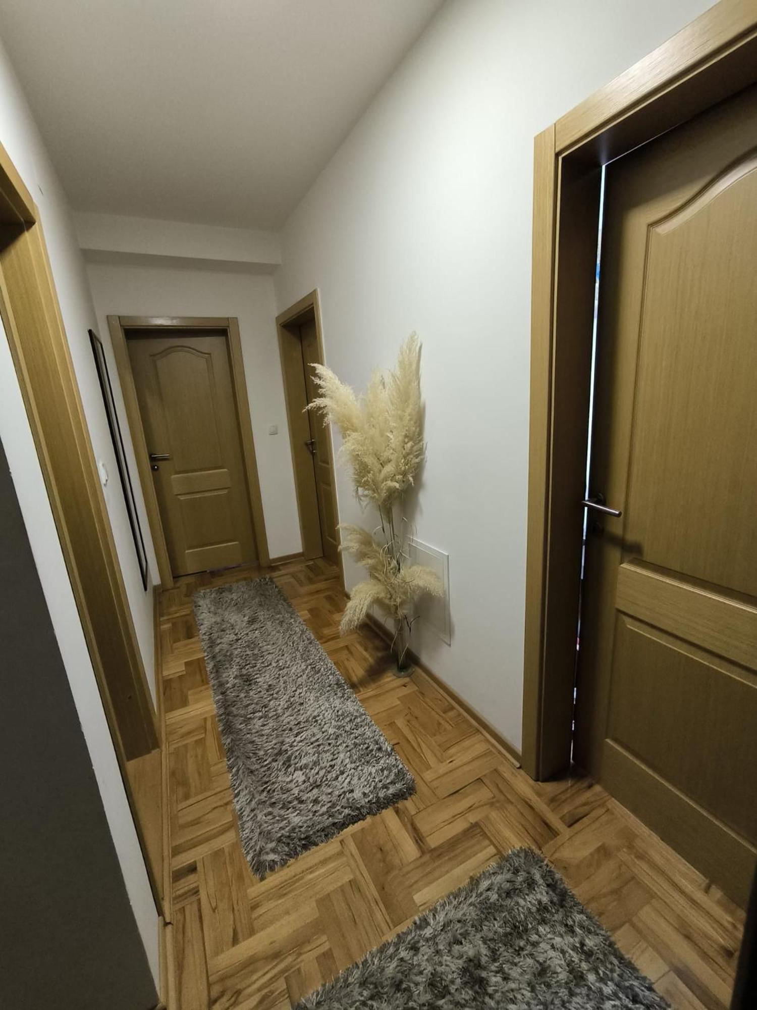Apartman Zivic Ni Esterno foto